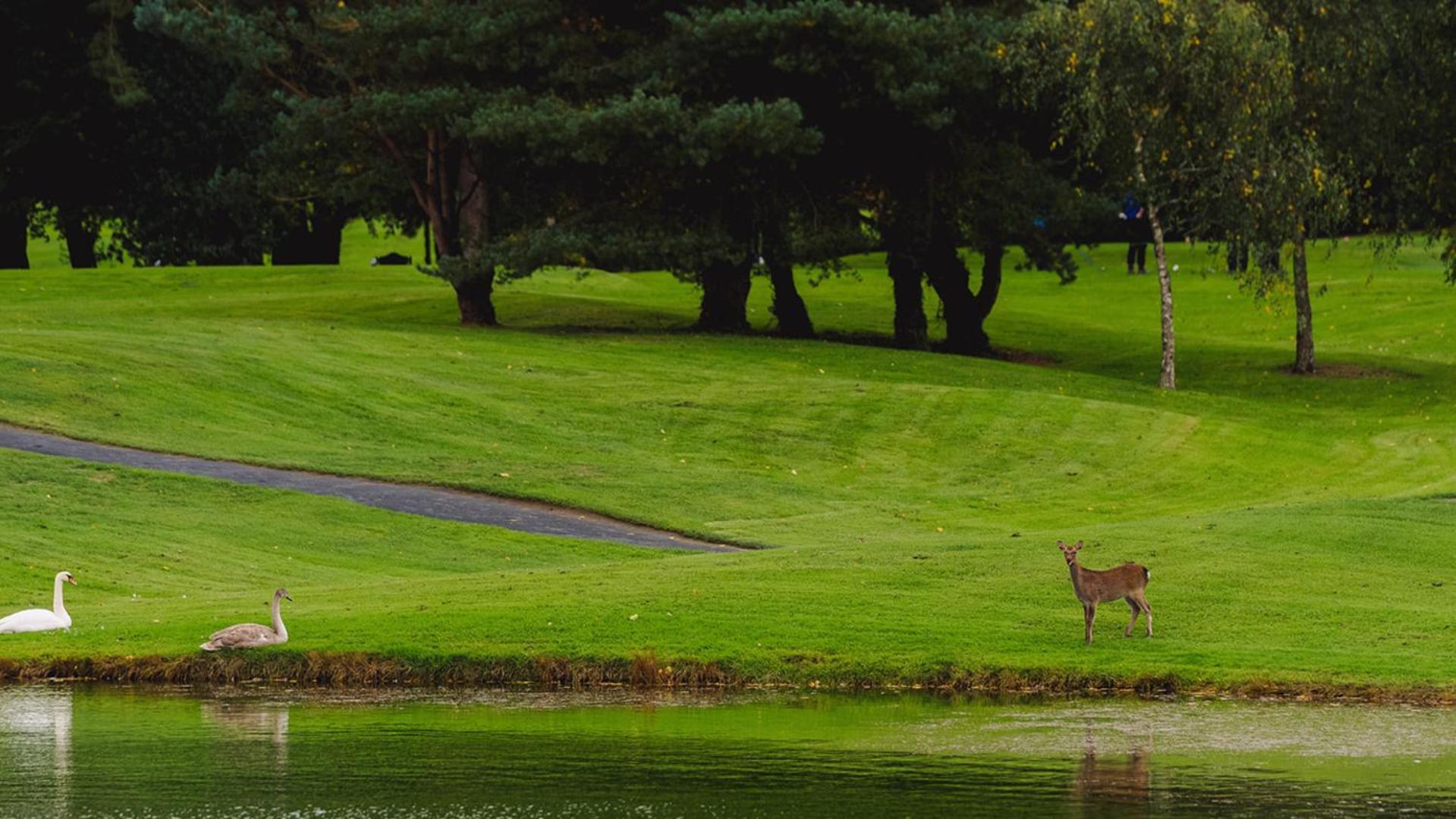 Waterford Castle Hotel Lodges Bagian luar foto