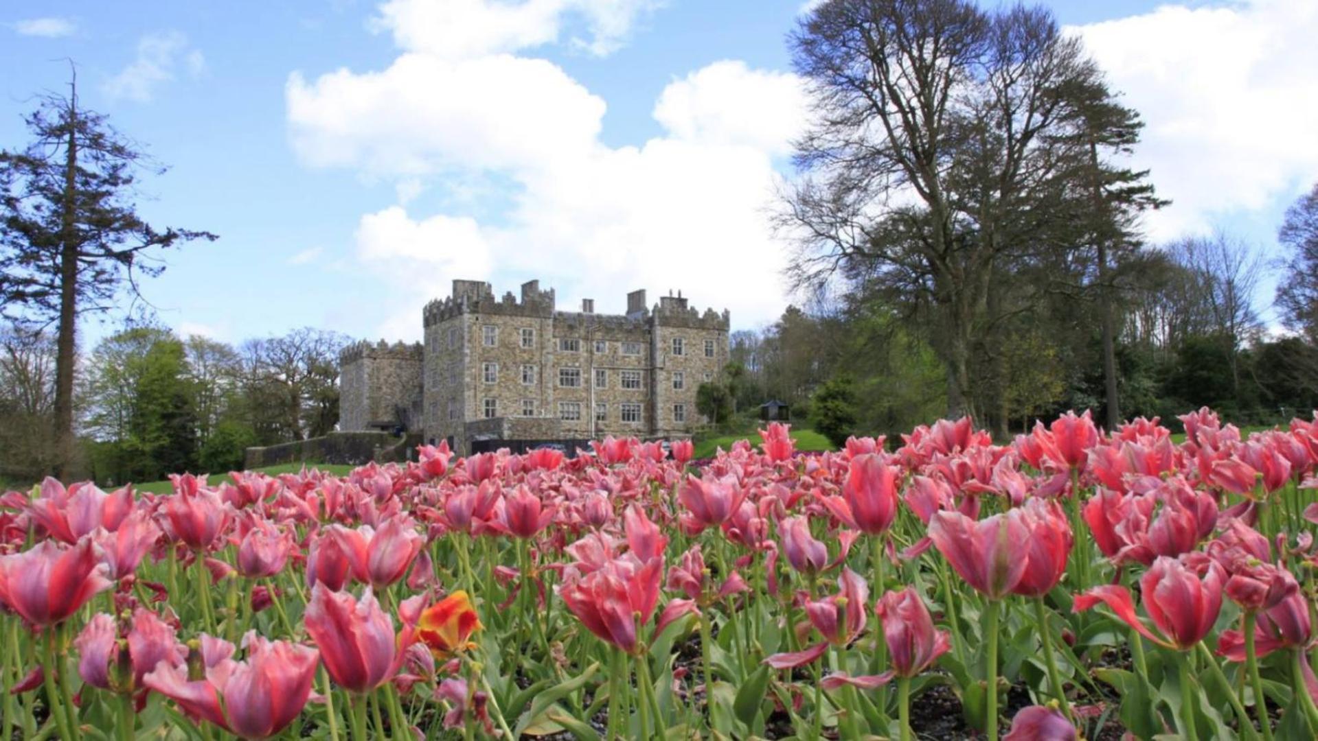 Waterford Castle Hotel Lodges Bagian luar foto